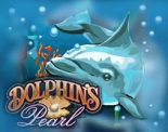 Игровой аппарат Dolphin's Pearl