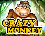 Игровой аппарат Crazy Monkey